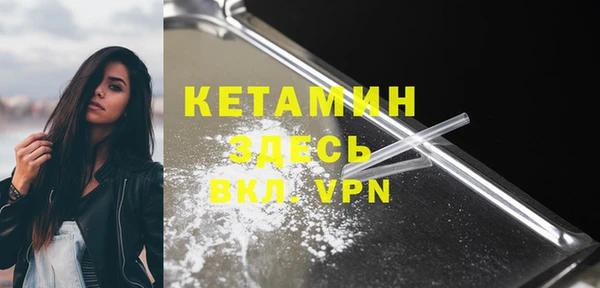дмт Богданович