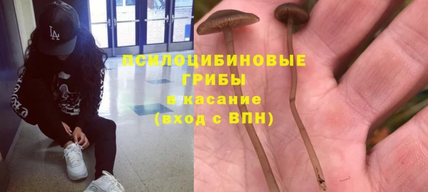 гидра Беломорск