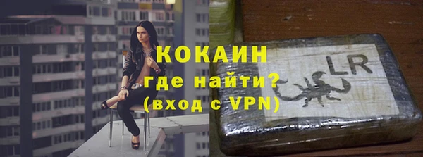 дмт Богданович