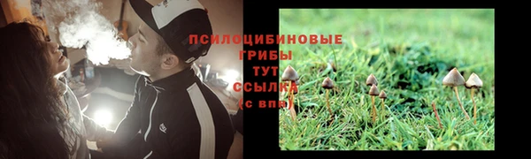наркотики Белокуриха