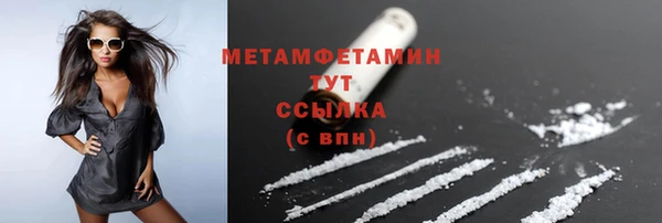 дмт Богданович