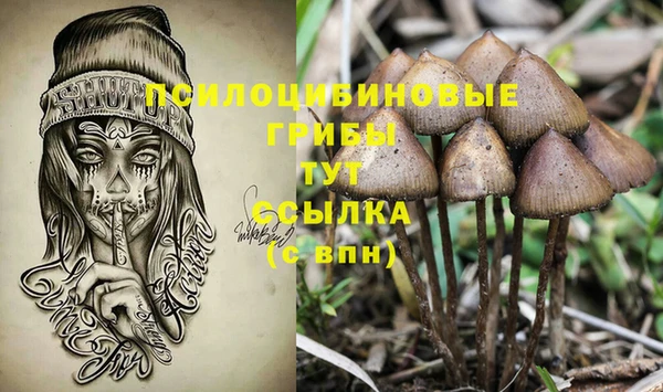 сатива Зерноград