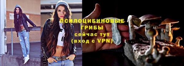 наркотики Белокуриха