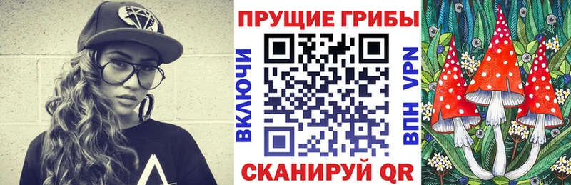 Галлюциногенные грибы мицелий Бологое